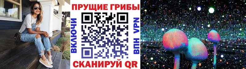 Псилоцибиновые грибы Psilocybine cubensis  Купить  Волгоград 
