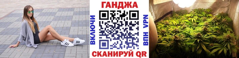 Купить где  Волгоград  Бошки Шишки семена 